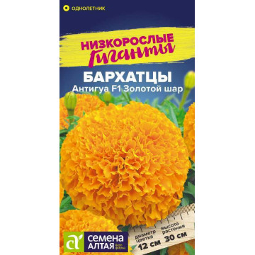 Бархатцы Антигуа золотистые F1