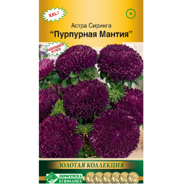 Астра СИРИНГА Пурпурная мантия (0,1г) Евросемена