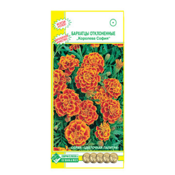 Бархатцы Королева София, отклоненные (0,2г) Евросемена