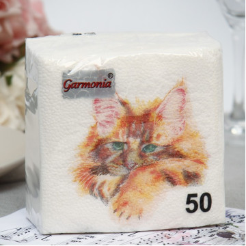 Салфетки бумажные 50шт 24*24 см 1-слойн Гармония цвета