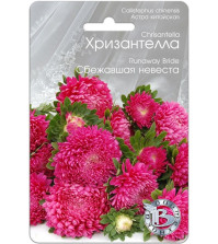 Астра Хризантелла Сбежавшая невеста (30шт) Биотехника
