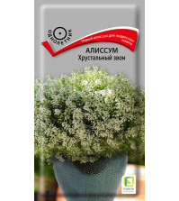 Алиссум Хрустальный звон (20шт) Поиск