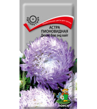 Астра Дюшес блю энд вайт пионовидная (0,3г) Поиск