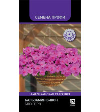Бальзамин Бикон Блю Перл (7шт) Поиск