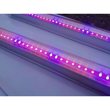 Светильник для растений Ultraflash LWL-2014-03CL ФИТО, 15Вт
